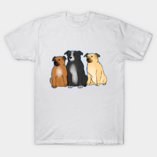 Three Staffies T-Shirt